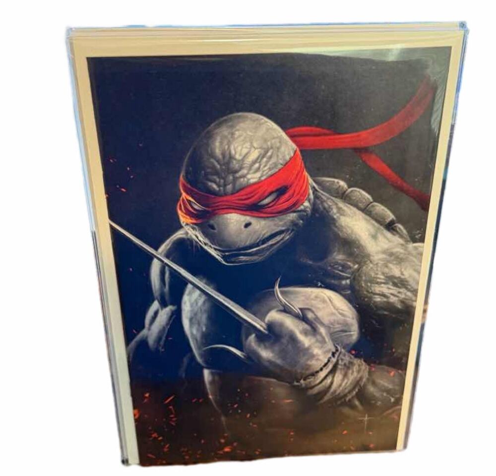 Teenage Mutant Ninja Turtles Raphael Virgin Variant IDW Comic Book